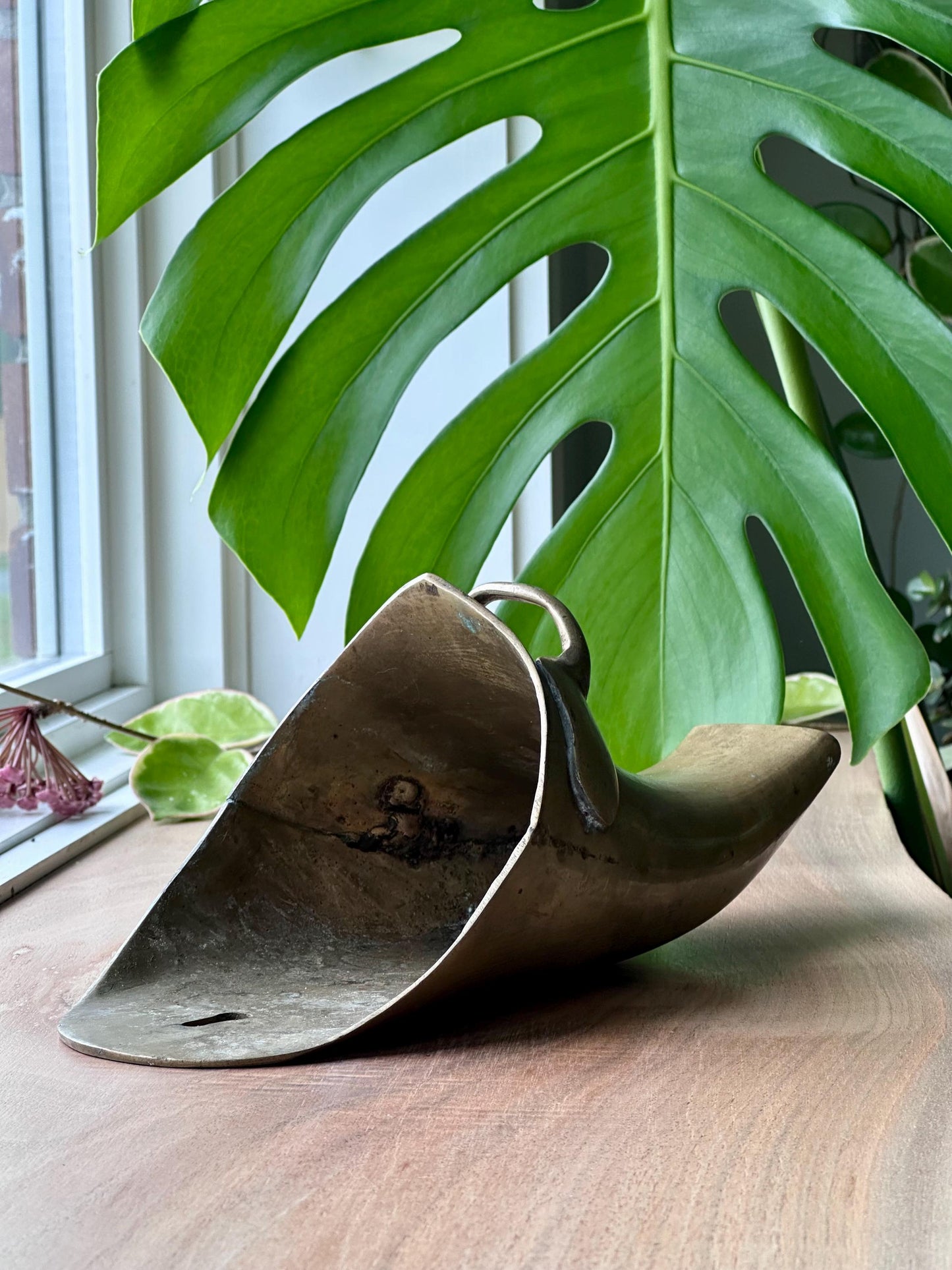 Antique Brass Conquistador Stirrup Wall Pocket – Sleek Polished Finish
