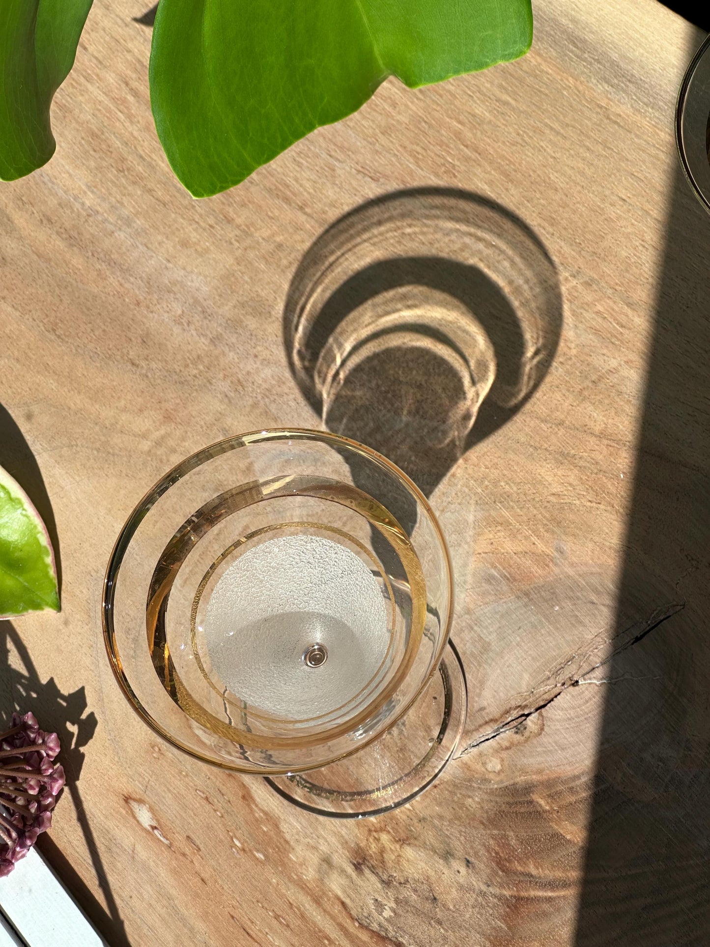 Vintage Art Deco Martini Glasses | Set of 6 | Frosted & Gold Band
